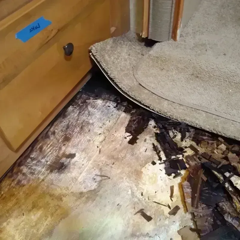 Wood Floor Water Damage in Norton, OH